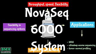 Illumina NovaSeq 6000 System