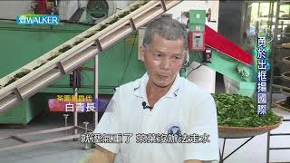 壹Walker-第286集 Part1 勇於出框揚國際