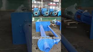 Shanglishi Pump Group-vertical slurry pump