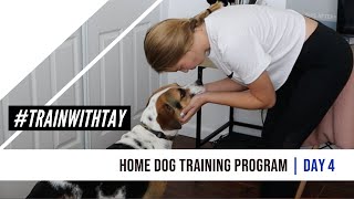 #TRAINWITHTAY Home Dog Training Program Day 4 | WAIT