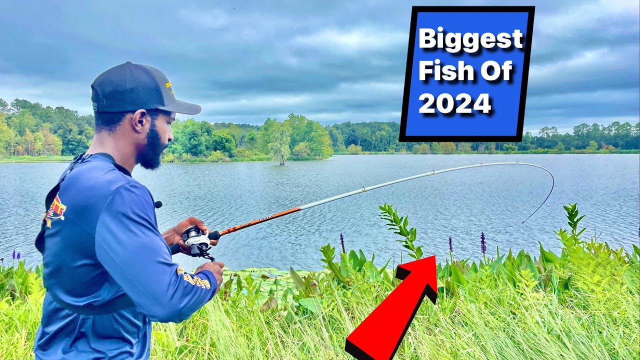 Guys Are Breaking Their PB From The Bank By Doing This| BIG BASS CAUGHT