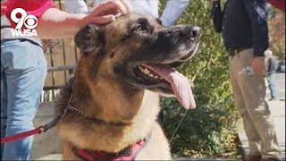 New therapy dogs comfort DC firefighters