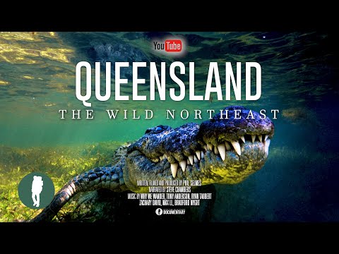 Australia’s Wild Northeast | Wildlife Documentary 4K | Queensland Animals and Landscapes