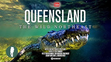Australia’s Wild Northeast | Wildlife Documentary 4K | Queensland Animals and Landscapes