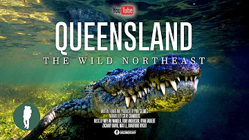Australia’s Wild Northeast | Wildlife Documentary 4K | Queensland Animals and Landscapes