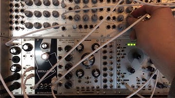 Taking the dreadbox white line oscillator for a first spin