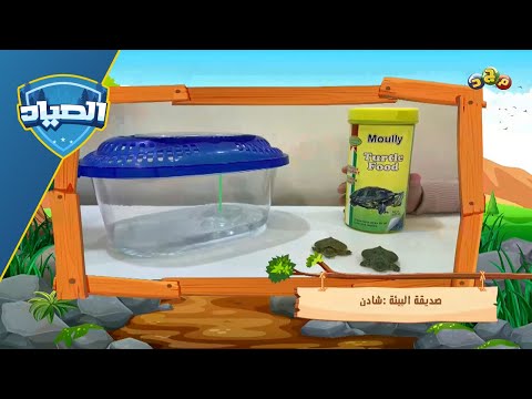 إطعام الحيوانات ورعايتها وحماية البيئة من التلوث أصدقاء البيئة