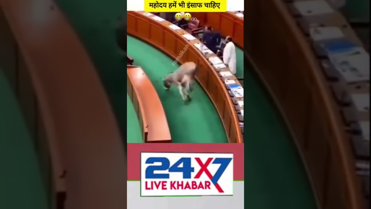 Uploads from 24x7livekhabar