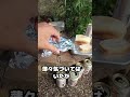 メスティン料理
