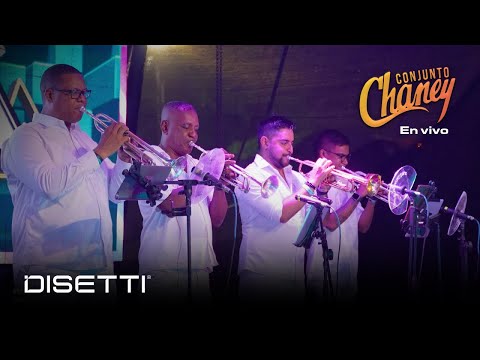 Conjunto Chaney - Estás Segura (En Vivo) | Salsa Romantica