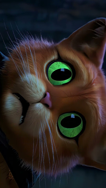 Puss in boots 4K edit