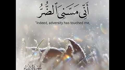 سورة الانبياء للقارئ احمد الترجمان