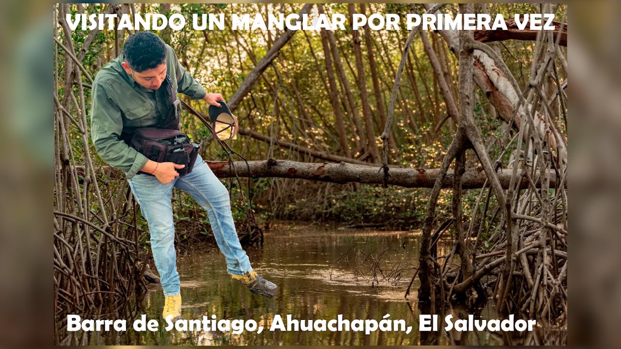 🌿 NATURALEZA IMPRESIONANTE | VISITANDO EL MANGLAR BARRA DE SANTIAGO ...