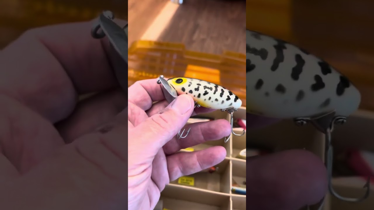 Yard Sale Tackle box-#fishing #yardsale #bassfishing
