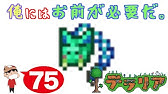 59 Ps4 テラリアの伝説 ドロップ率0 56 の低い壁 Youtube 59 Ps4 テラリアの伝説 ドロップ率0 56 の低い壁 Youtube