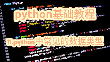 11 python中常见的数据类型