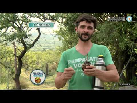 Preview de Mates de calabaza artesanales