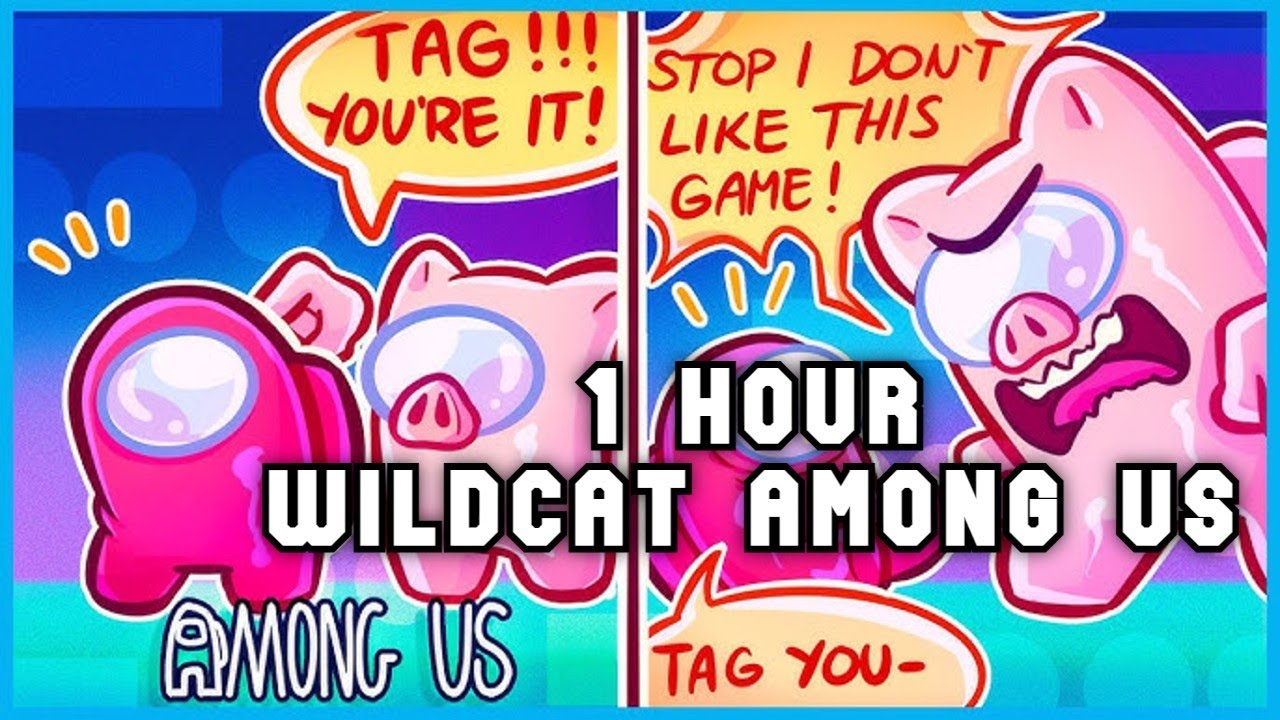Wildcat Among Us Compilation #5 - 1 Hour - VanossGaming Compilation (No Sponsors and End Cards)