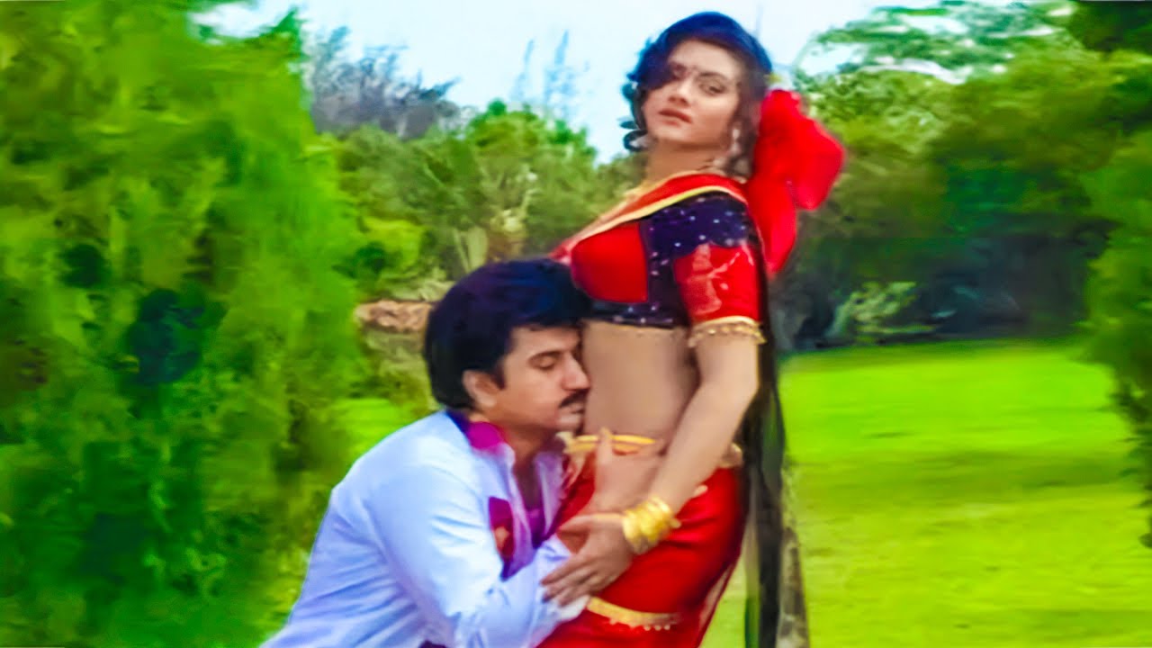 Suman, Vani Viswanath Superhit Song - Collector Gari Alludu Movie Video Songs | Telugu Movie Songs