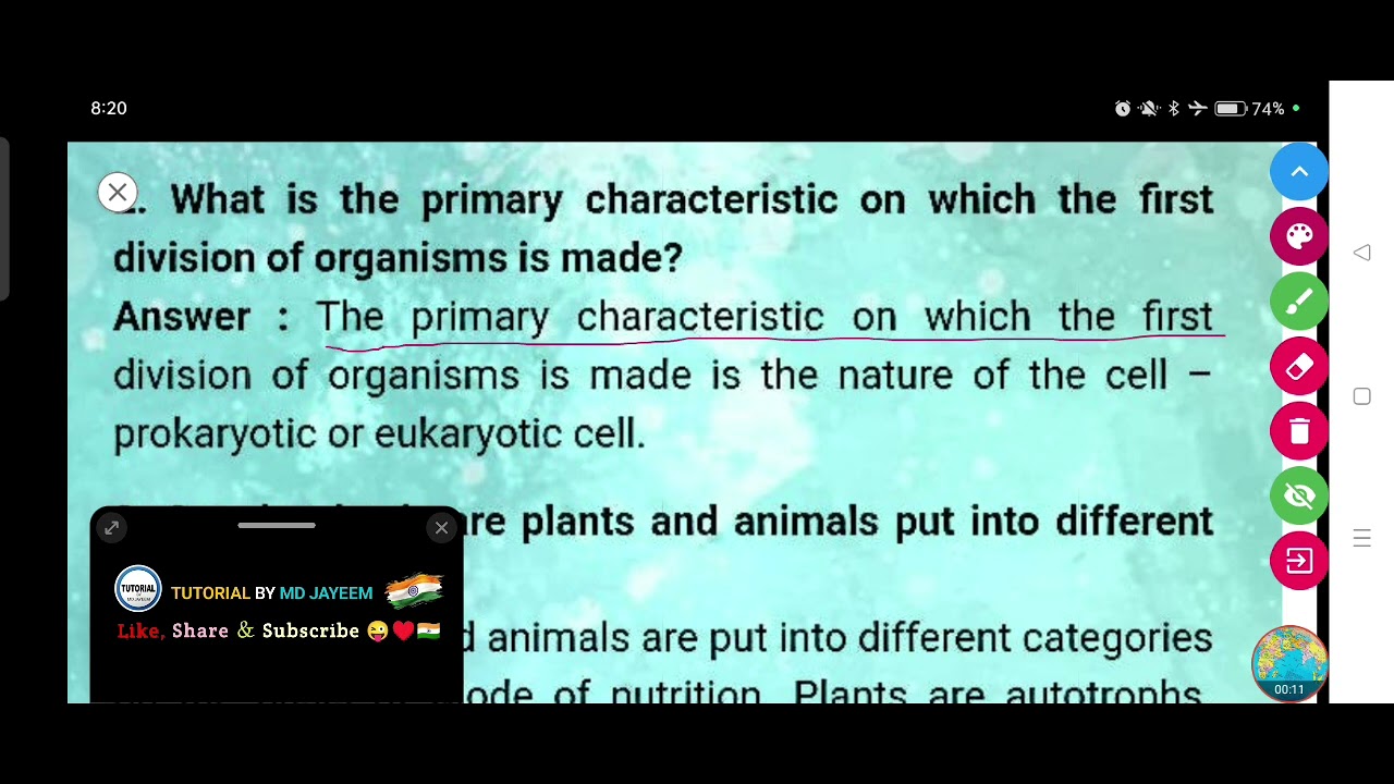 What is the primary characteristic on which the first division of organisms is made?