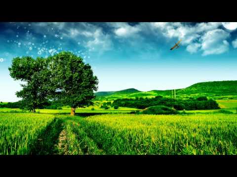 Static Blue — [HD] Ferry Tayle & Static Blue - Trapeze (Daniel Kandi Remix)