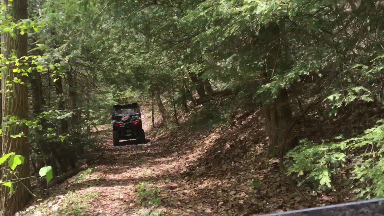 Bald Eagle ATV trail absolutely beautiful YouTube
