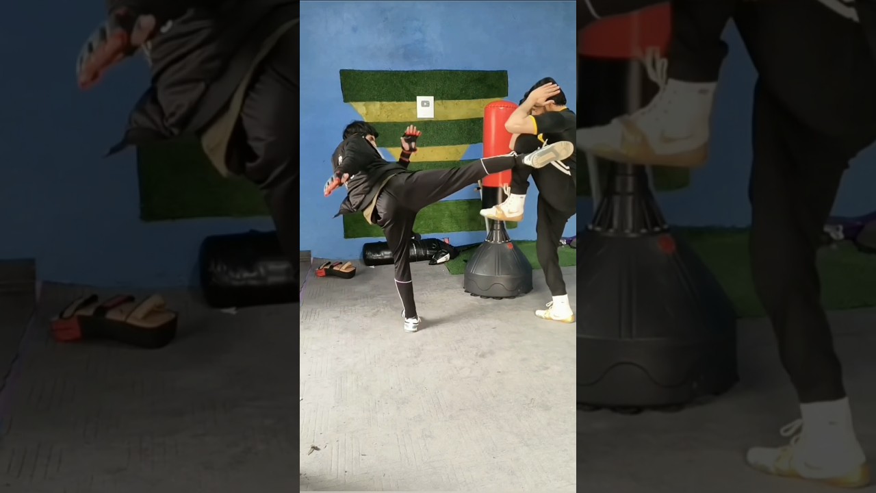 Tony jaa block knee kick 