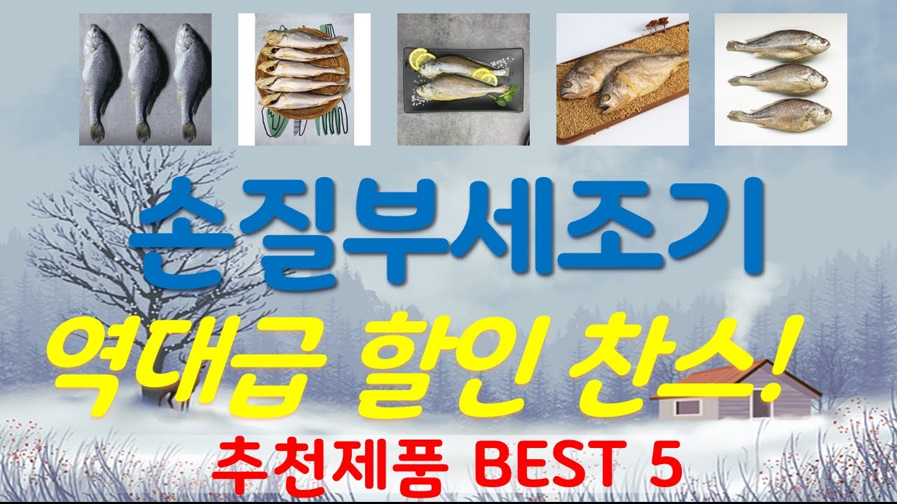 손질부세조기 추천, 완전 추천 사기템 가성비 TOP5 - YouTube