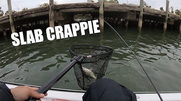 Skipping Under Huge Dock For Slab Crappie