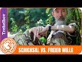 Freier Wille VS. Schicksal - Trechlebov