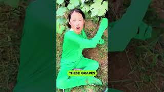 My girlfriend insists on wearing her invisibility cloak to pick grapes ..