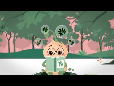 Plant-based Wellness with Seedo | Mirësi - video from Miresi