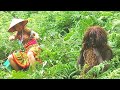 Người rừng -Tập 52 - Cô Mị Bắt Khẩn Cấp Tên Người Rừng Phá Hoại - Girl Catching People In The Forest