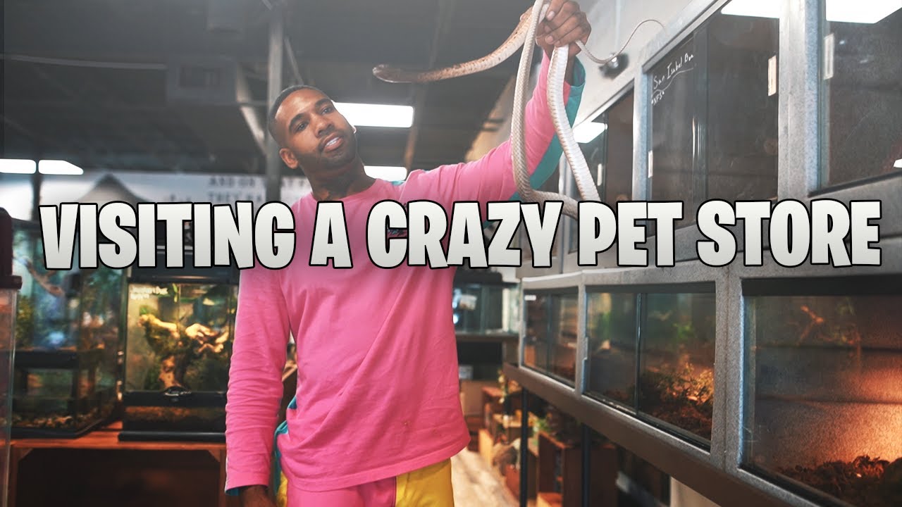 VISITING A CRAZY PET STORE YouTube