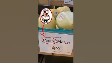 I FOUND PEPPINO IN REAL LIFE!