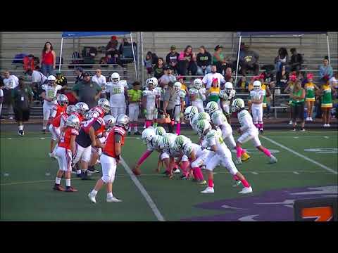 South Hills Ducks 12u highlights vs OC Buckeyes 2019