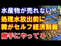 【セルフ経済制裁】福島原発処理水放出を前に韓国が勝手に自国を経済制裁するコントを上演中 #韓国#韓国ニュース#新東亜情報局