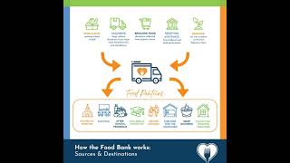 Food Bank vs. Food Pantry: What Most People Get Wrong