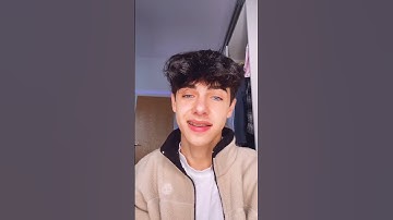 Kyle Thomas 💙 why meerkats make BAD pets #kylethomas #shorts