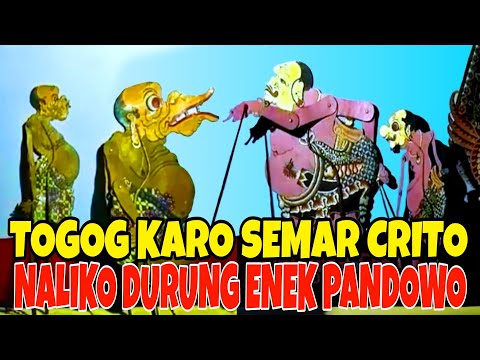 LILY - Alan Walker ~ MANTAP buat Goyang || by Togok cakar-cakaran