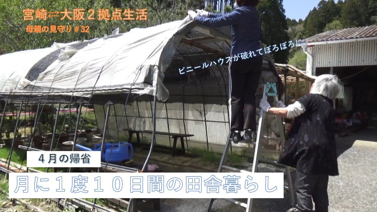 ２拠点生活＃３２【帰省費用４月度】　母７８歳の健康寿命を延ばすため毎月帰省する５６歳の娘