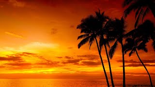 Relaxing Music 24/7, Sleeping Music, Deep Sleep Music, Sleep Meditation, Sleep Music, Study Music