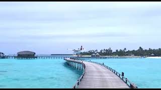 Seaplane landing - Maldives resorts /Tourism