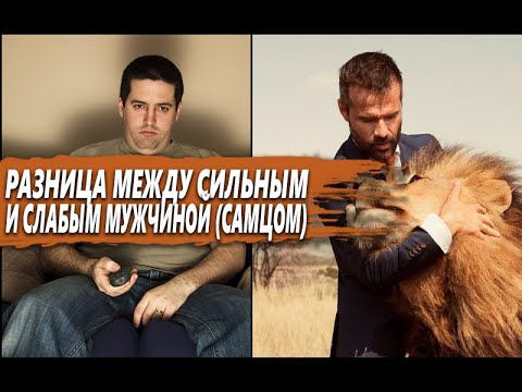 В ЧЕМ РАЗЛИЧИЕ между СИЛЬНЫМ и СЛАБЫМ САМЦОМ (МУЖЧИНОЙ)? КАК ВОЙТИ в число СИЛЬНЫХ МУЖЧИН?