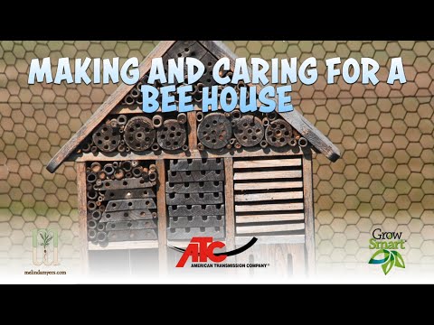 Making and caring for a bee house
