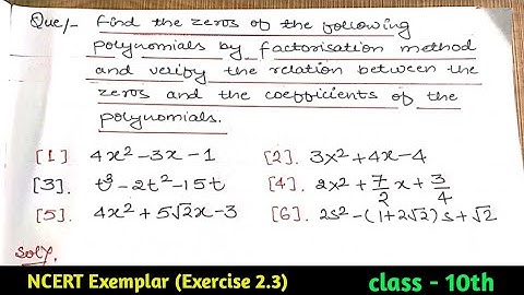 Class 10 math Chapter 2 Polynomials | Exercise 2.3 | NCERT Exemplar Solutions | cbse board exam
