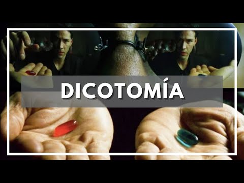 Qué es DICOTOMIA ? Significado, Definición y Etimología de Dicotomía