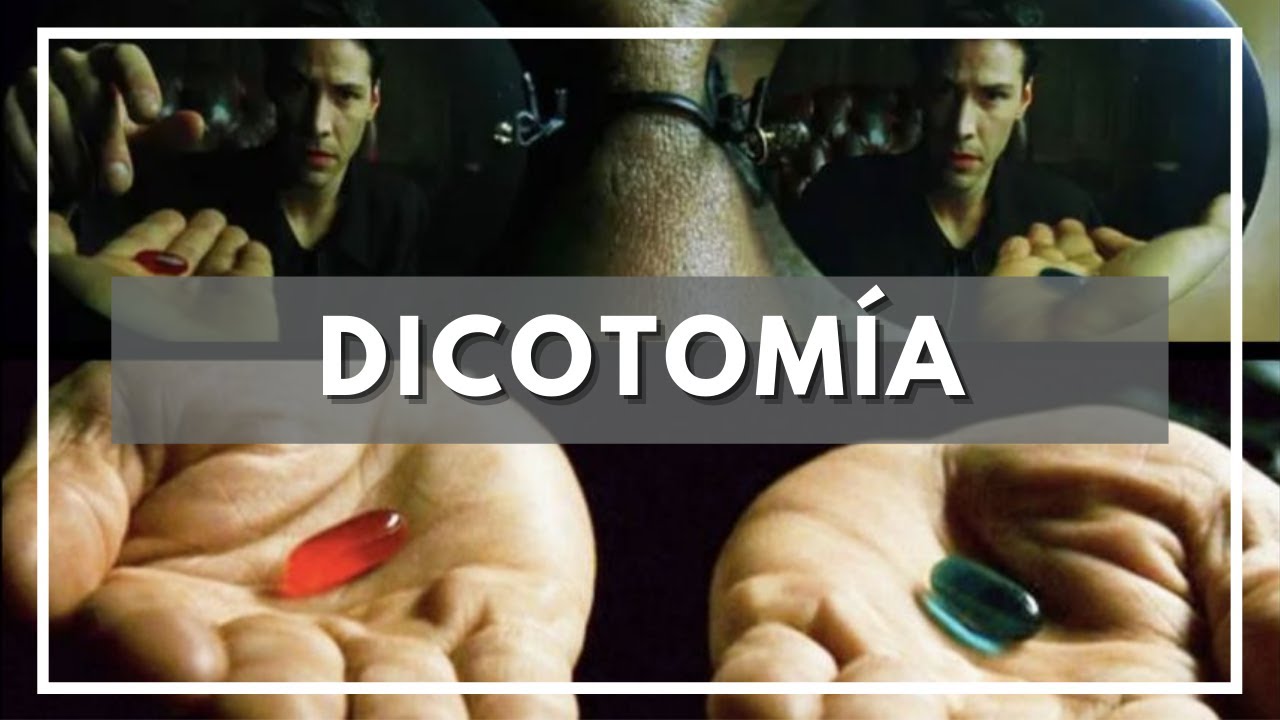 Qué es DICOTOMIA ? Significado, Definición y Etimología de Dicotomía