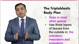ZOO503_Topic049