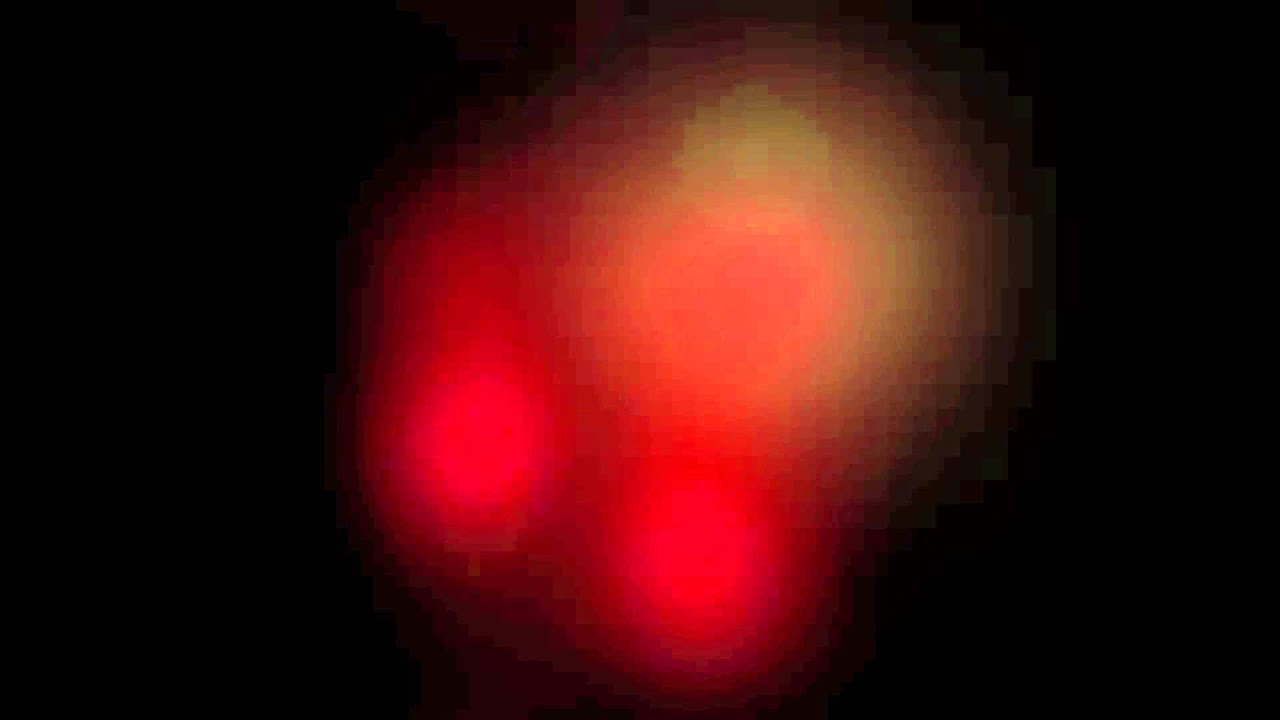 Cool Lights, LED Stickers for Bottles, Cups, and More 10 Pack YouTube